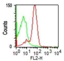 CD43/Sialophorin Antibody (DF-T1), Novus Biologicals 0.2mg; Unlabeled:Antibodies,